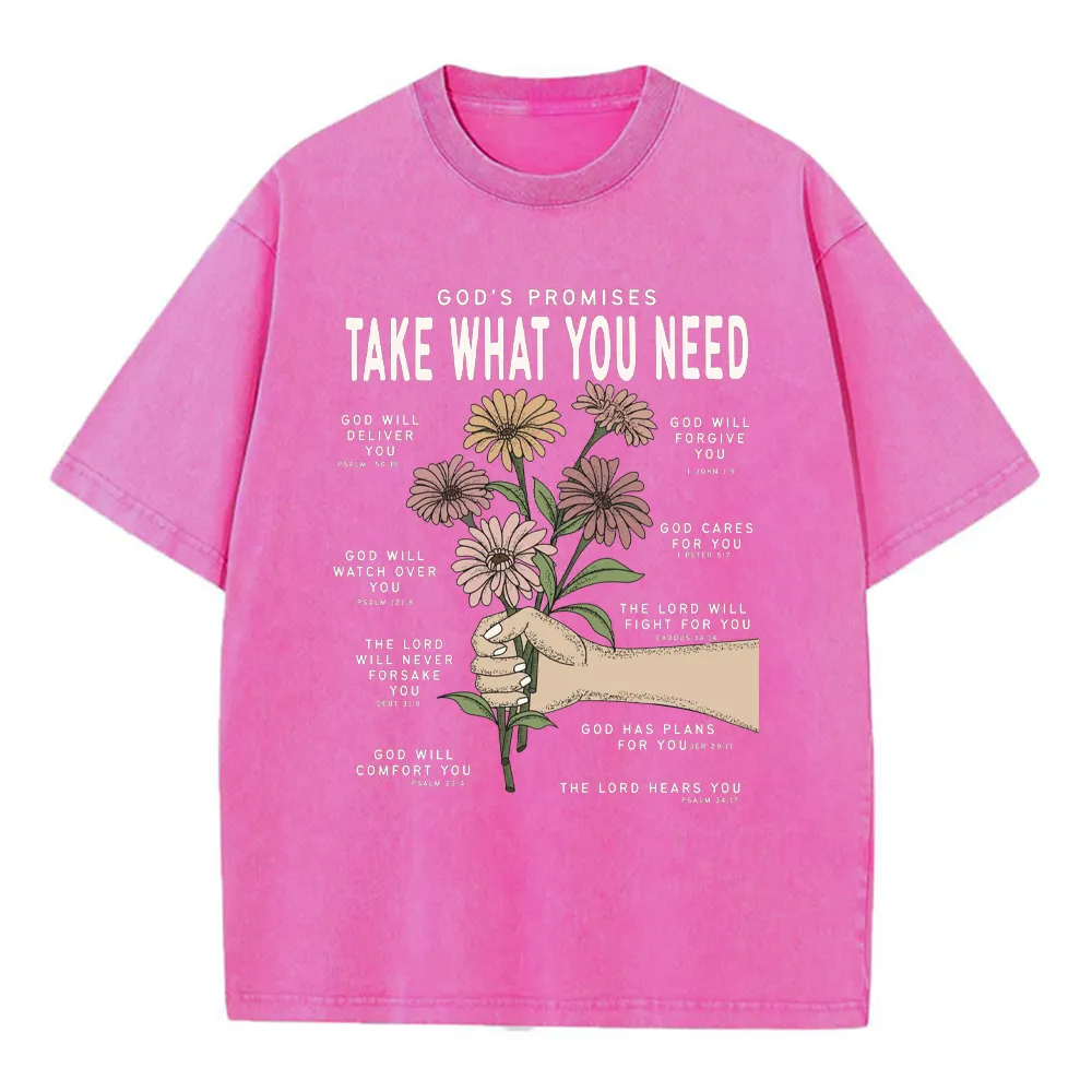 God's Promises Christian Washed T-Shirt