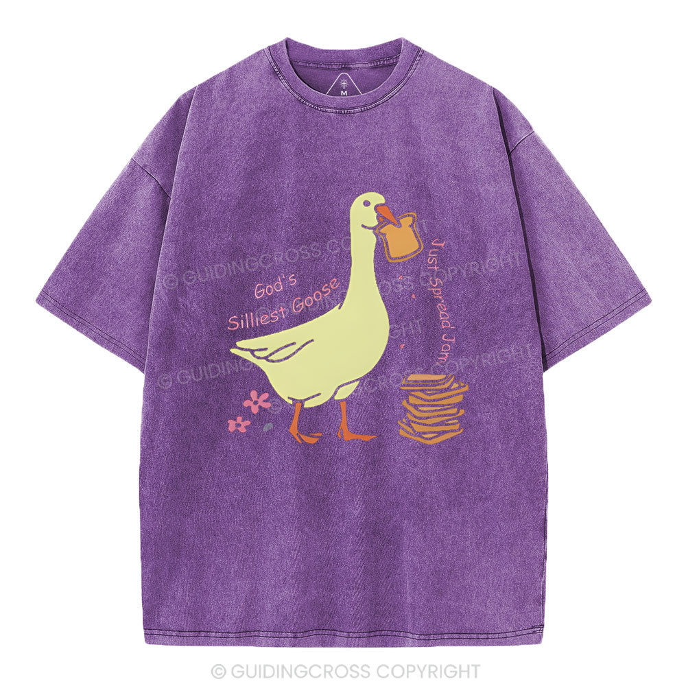 God's Silliest Goose Chirstian Washed T-Shirt
