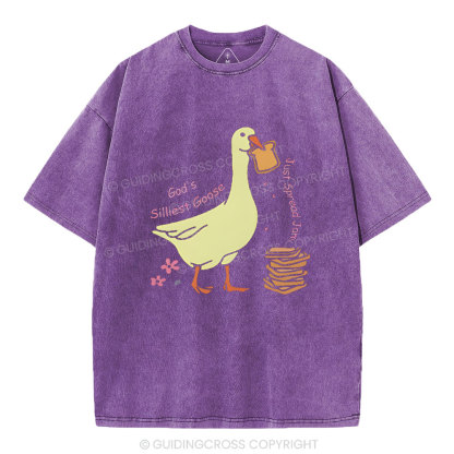 God's Silliest Goose Chirstian Washed T-Shirt