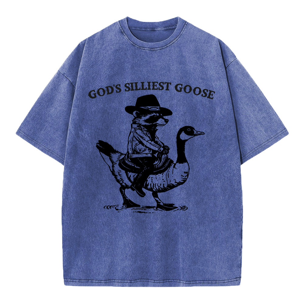 God's Silliest Goose Christian Washed T-Shirt