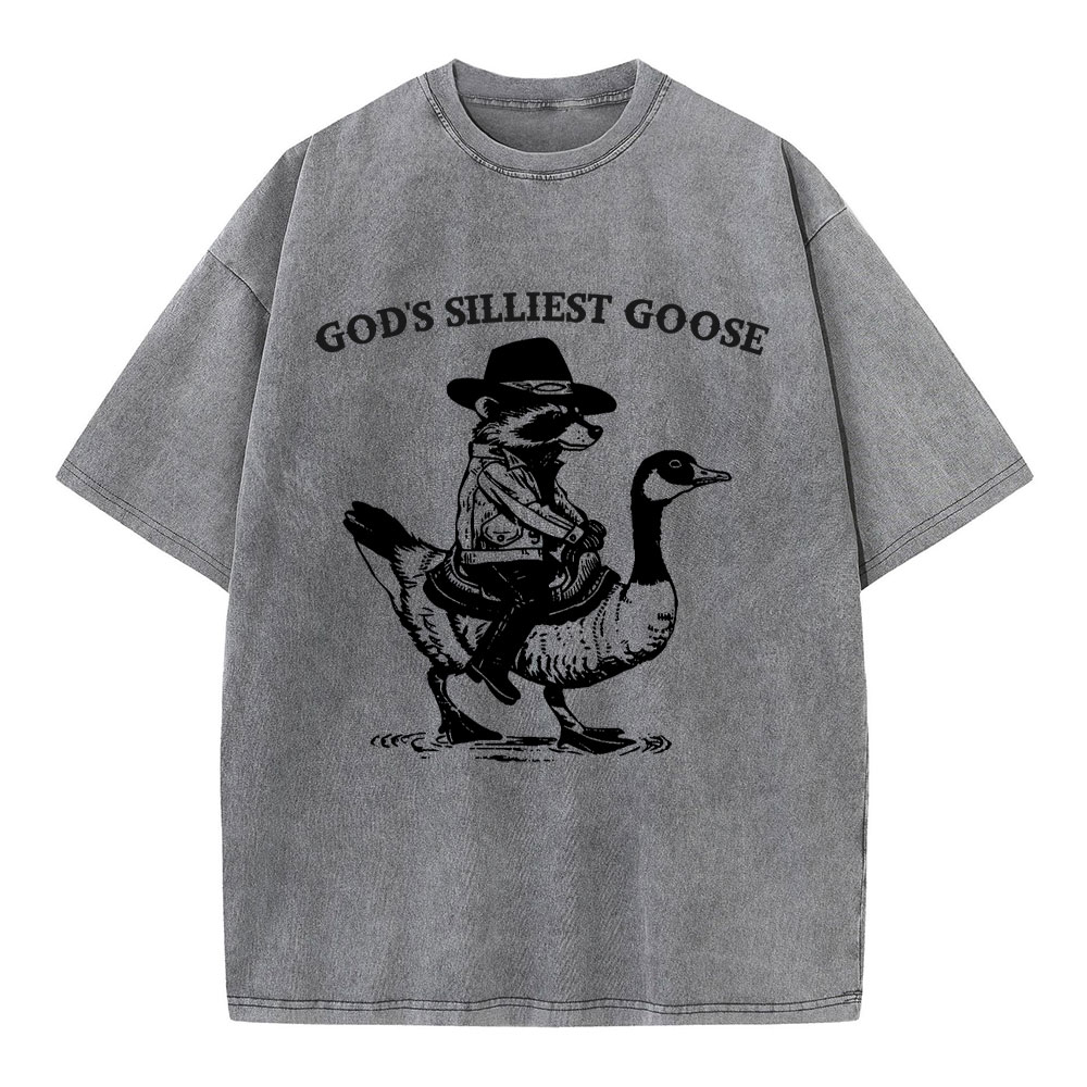 God's Silliest Goose Christian Washed T-Shirt