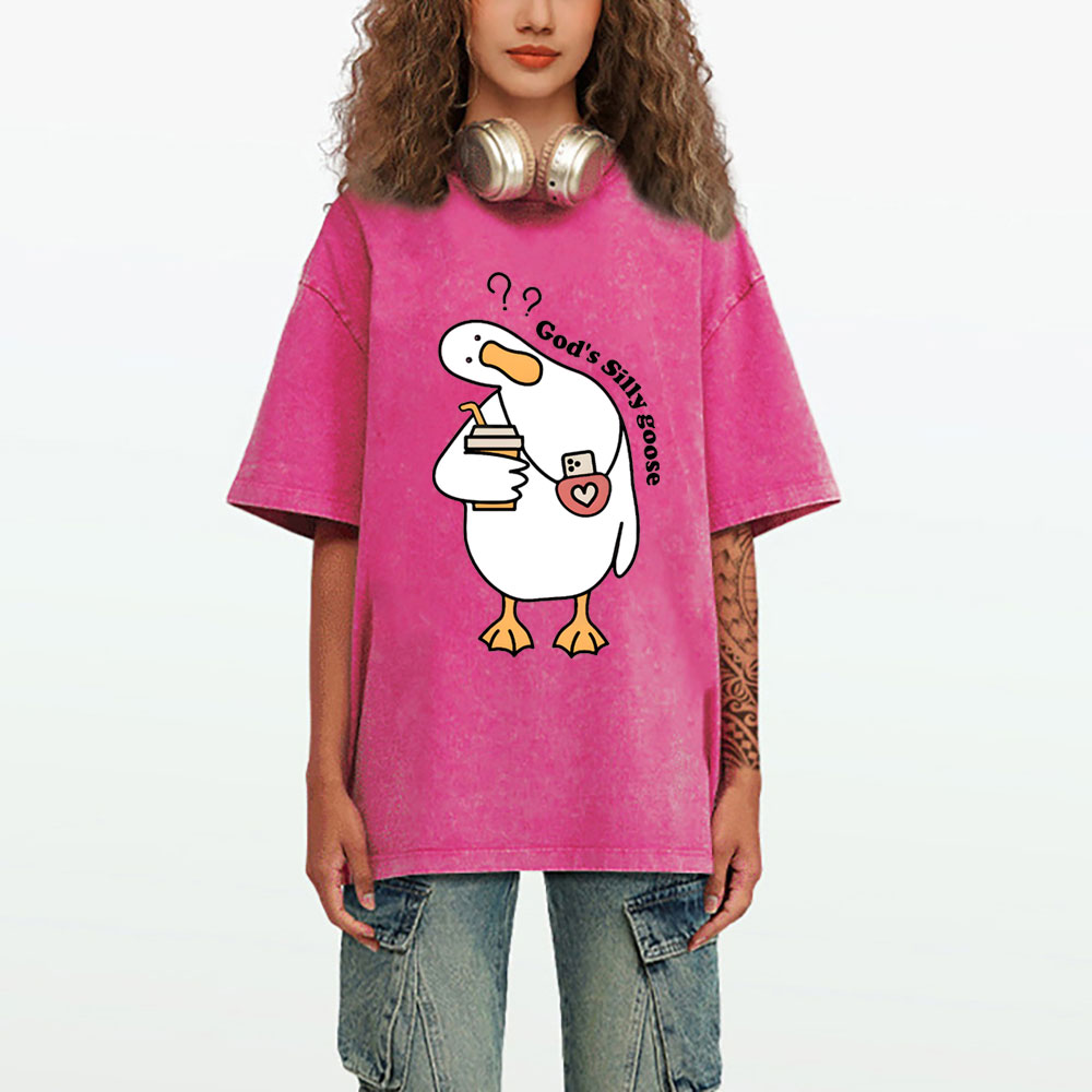 God's Silly Goose Christian Washed T-Shirt