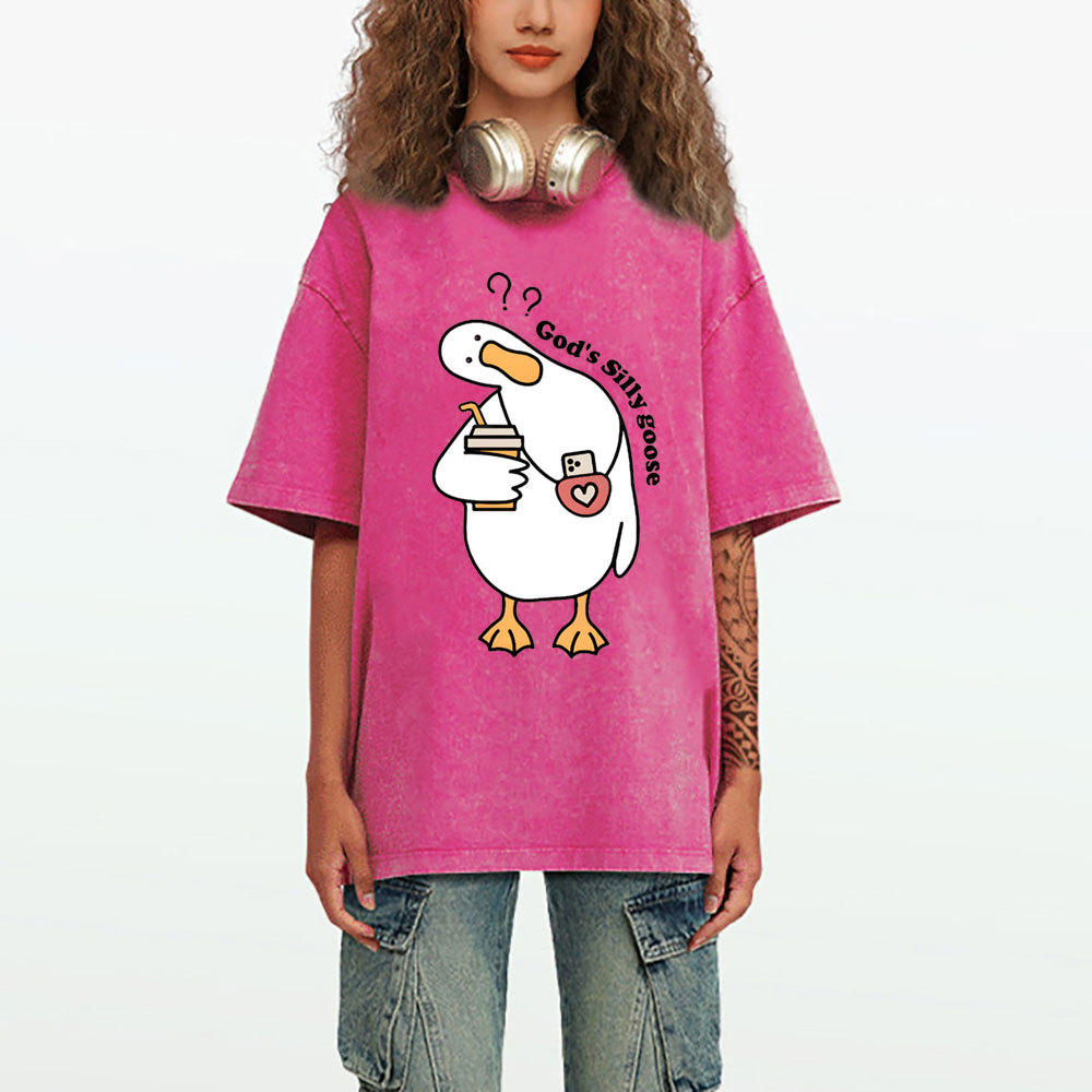 God's Silly Goose Christian Washed T-Shirt