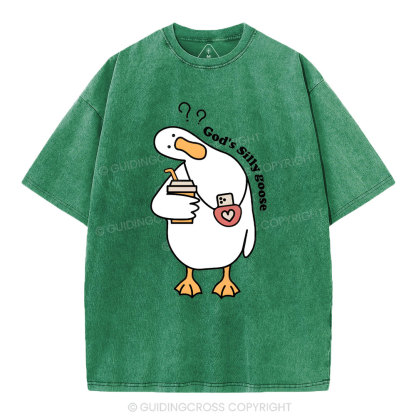 God's Silly Goose Christian Washed T-Shirt