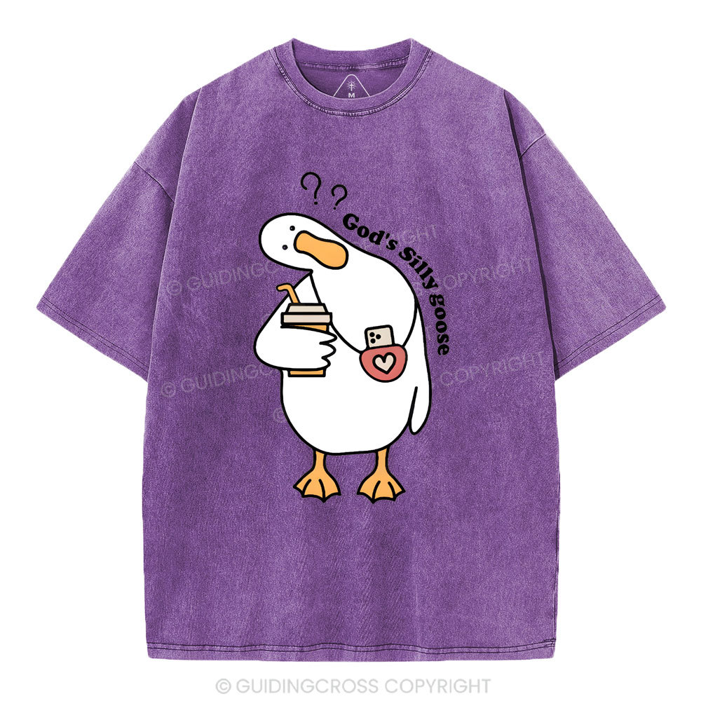God's Silly Goose Christian Washed T-Shirt