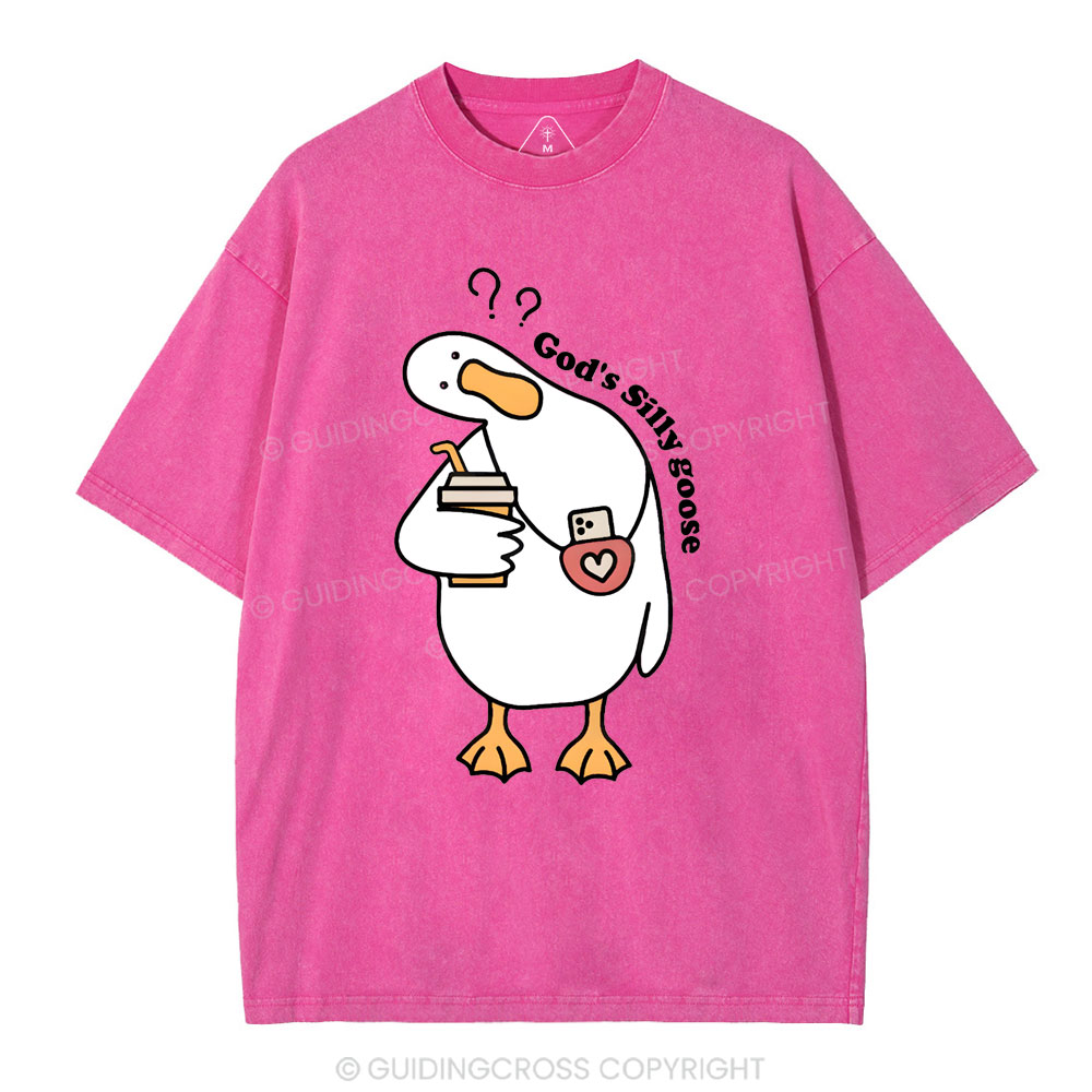 God's Silly Goose Christian Washed T-Shirt