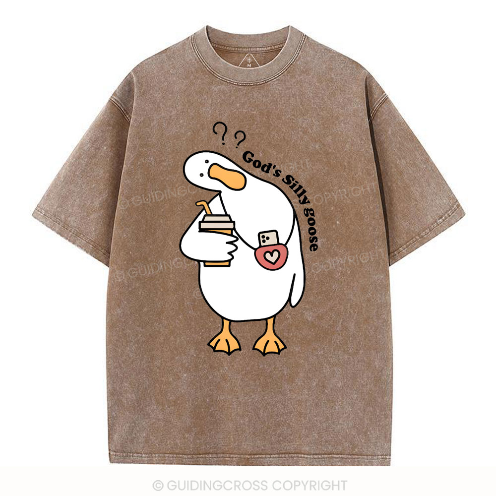 God's Silly Goose Christian Washed T-Shirt