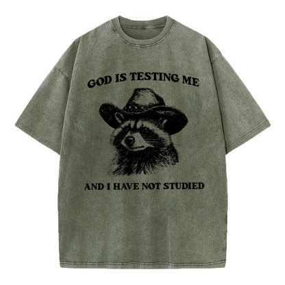 God's Testing Me Funny Raccoon Christian Washed T-Shirt