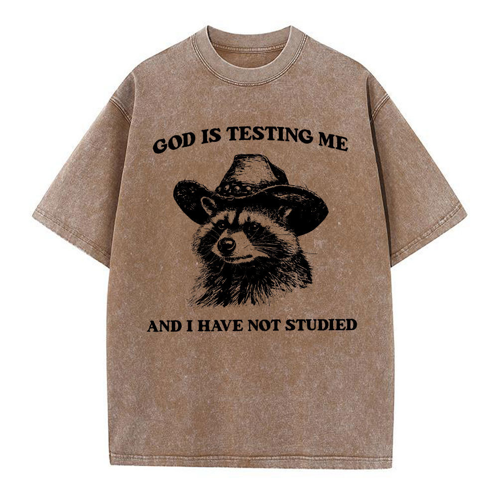 God's Testing Me Funny Raccoon Christian Washed T-Shirt