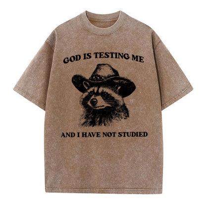 God's Testing Me Funny Raccoon Christian Washed T-Shirt