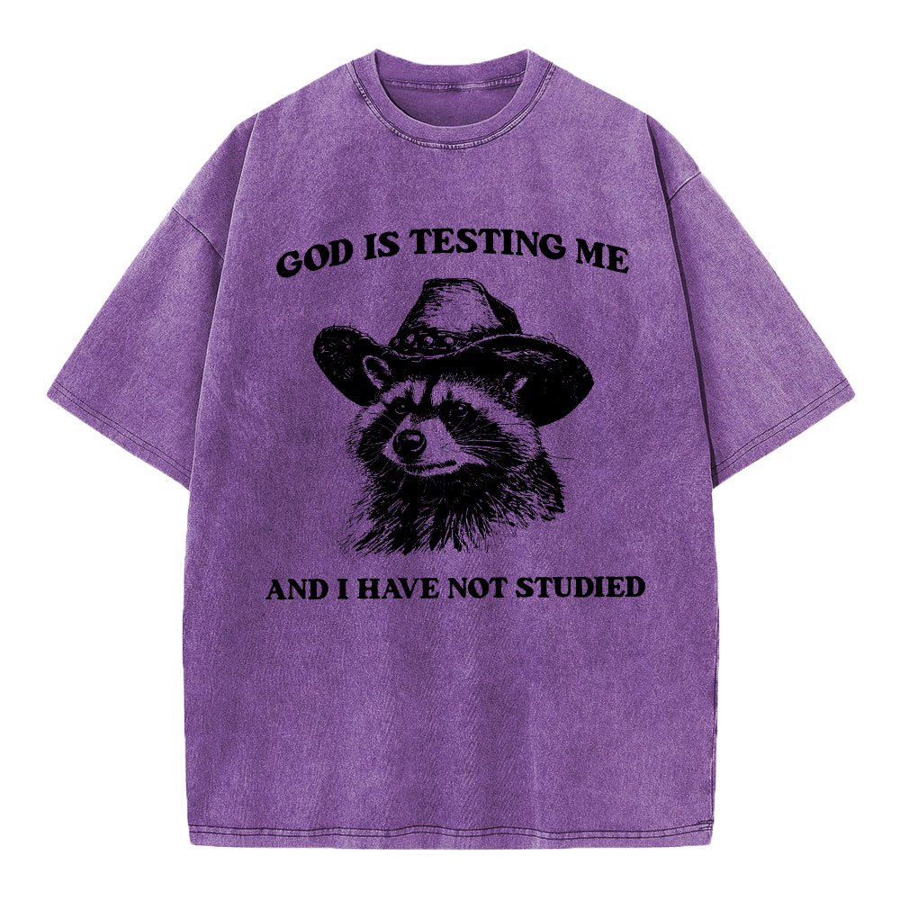 God's Testing Me Funny Raccoon Christian Washed T-Shirt