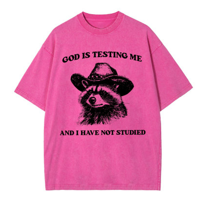 God's Testing Me Funny Raccoon Christian Washed T-Shirt