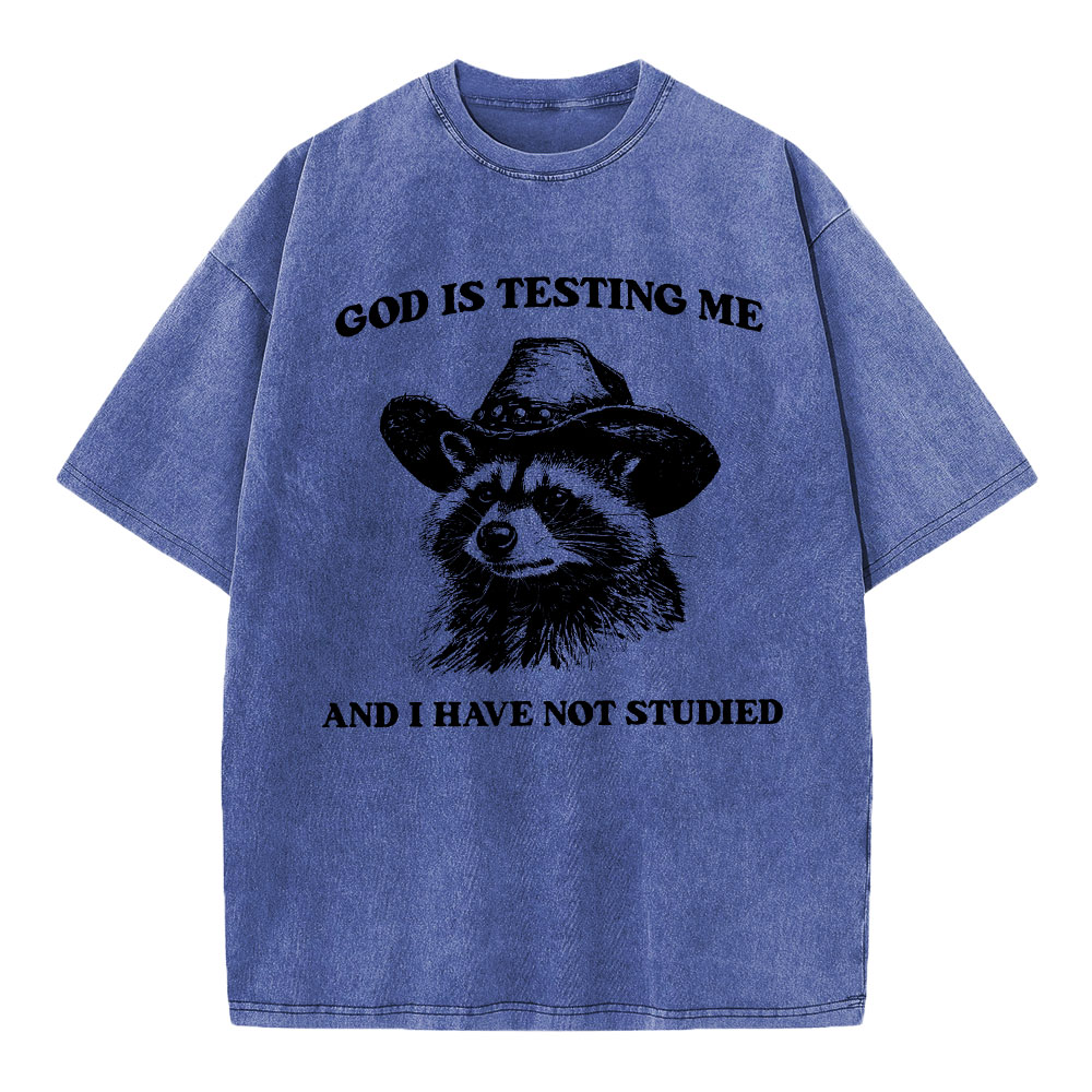 God's Testing Me Funny Raccoon Christian Washed T-Shirt