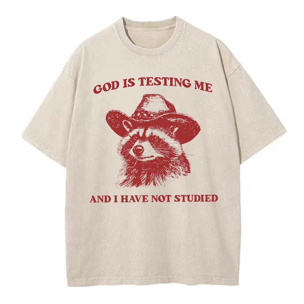 God's Testing Me Funny Raccoon Christian Washed T-Shirt Sale
