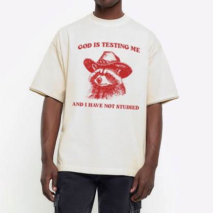 God's Testing Me Funny Raccoon Christian Washed T-Shirt