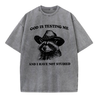 God's Testing Me Funny Raccoon Christian Washed T-Shirt