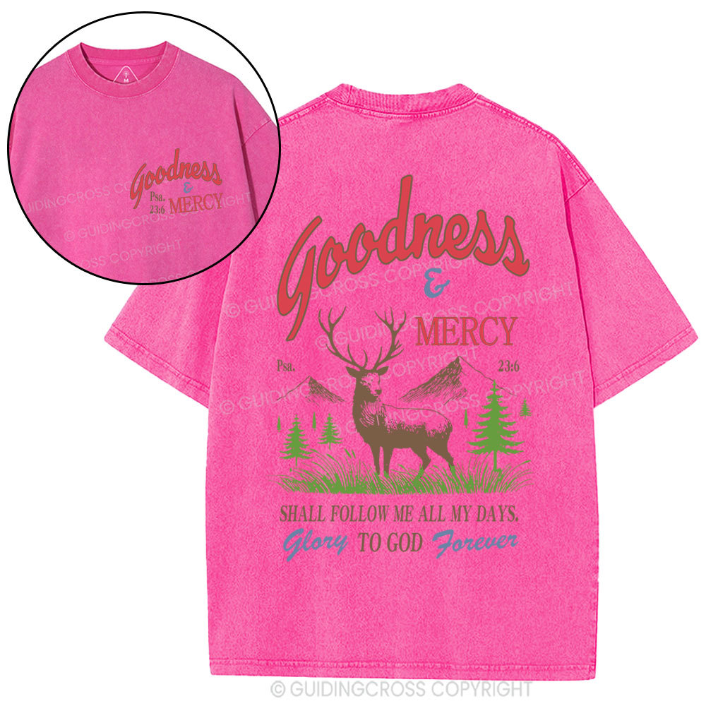 Goodness And Mercy Christian Washed T-Shirt