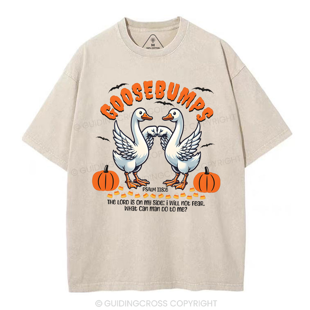 Goosebumps Christian Washed T-Shirt