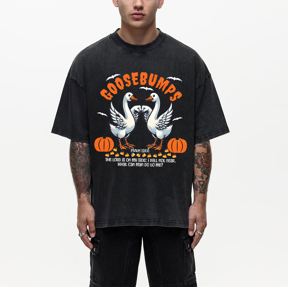 Goosebumps Christian Washed T-Shirt