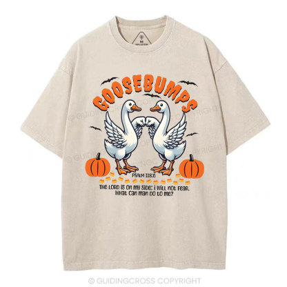 Goosebumps Christian Washed T-Shirt