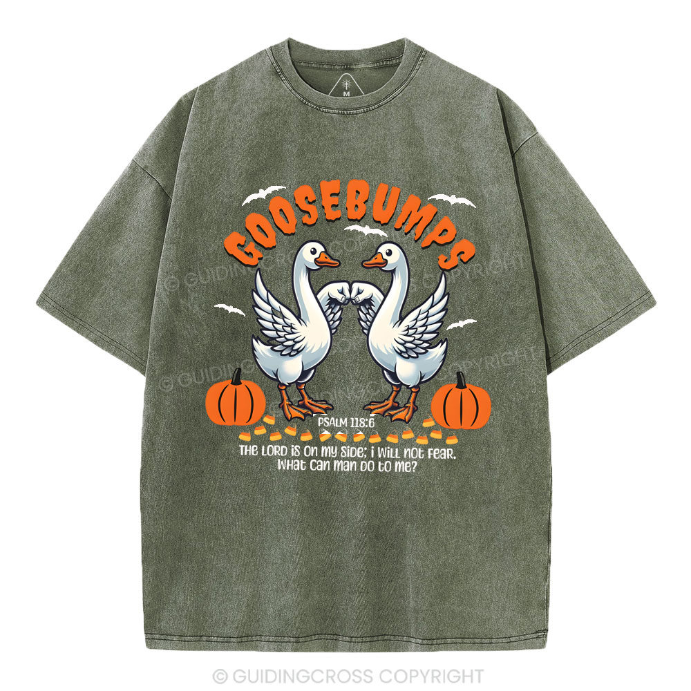 Goosebumps Christian Washed T-Shirt