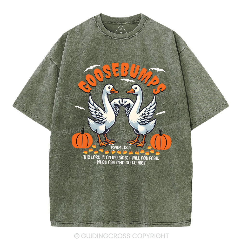 Goosebumps Christian Washed T-Shirt