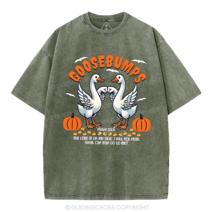 Goosebumps Christian Washed T-Shirt