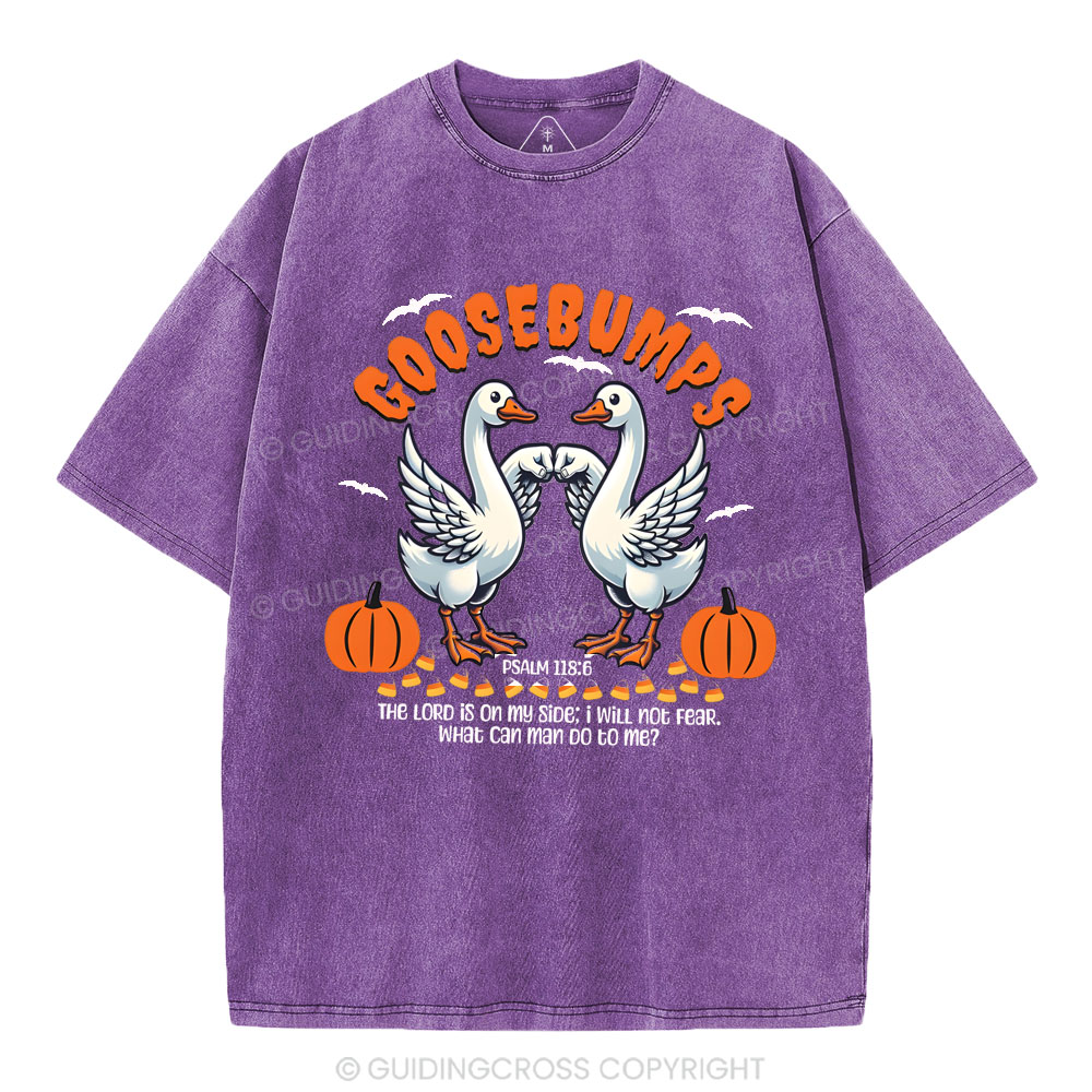 Goosebumps Christian Washed T-Shirt