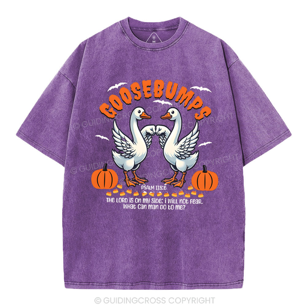 Goosebumps Christian Washed T-Shirt