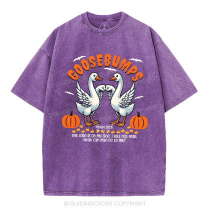 Goosebumps Christian Washed T-Shirt