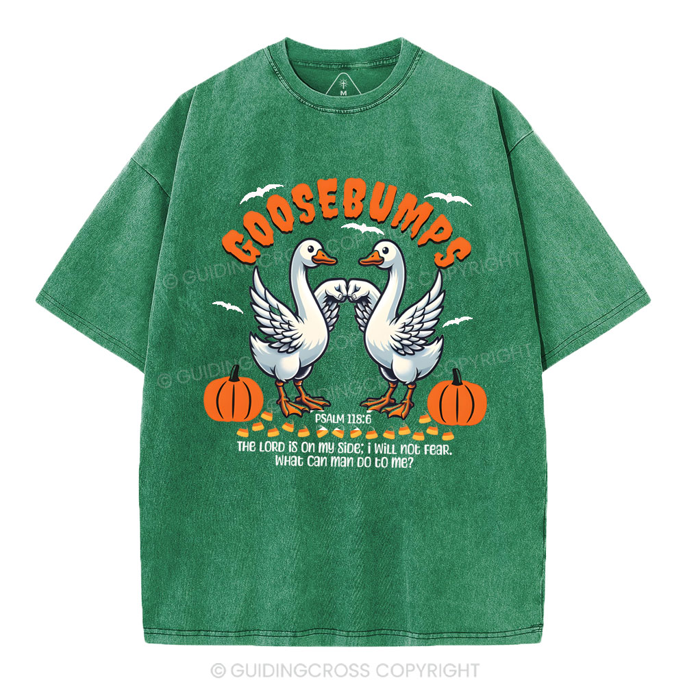 Goosebumps Christian Washed T-Shirt