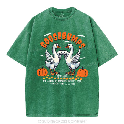 Goosebumps Christian Washed T-Shirt