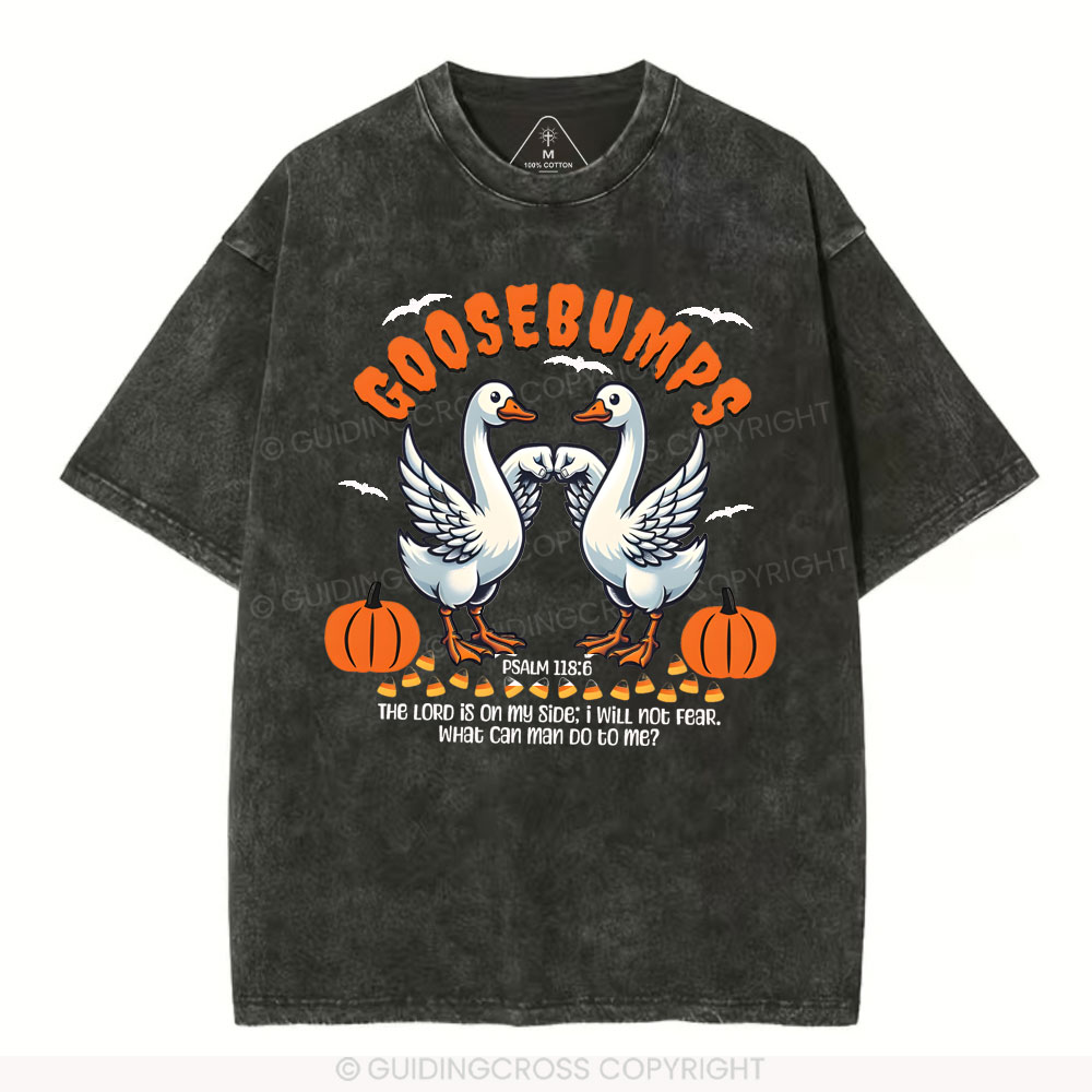 Goosebumps Christian Washed T-Shirt