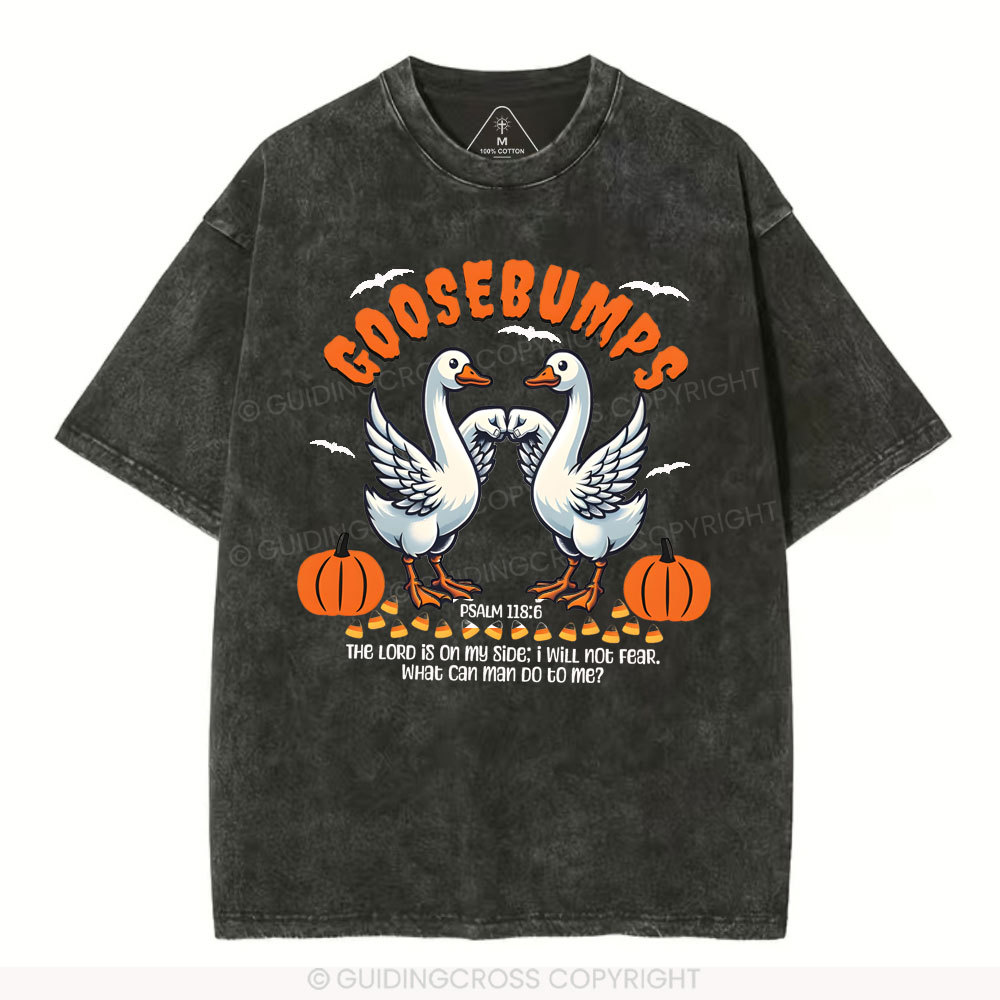 Goosebumps Christian Washed T-Shirt