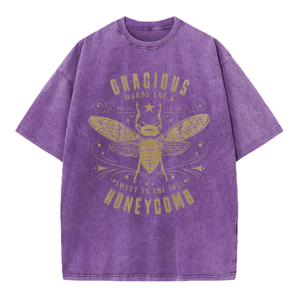 Gracious Words Are A Sweet To The Soul Honeycomb Christian Washed T-Shirt