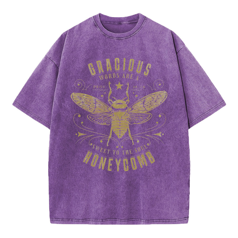 Gracious Words Are A Sweet To The Soul Honeycomb Christian Washed T-Shirt