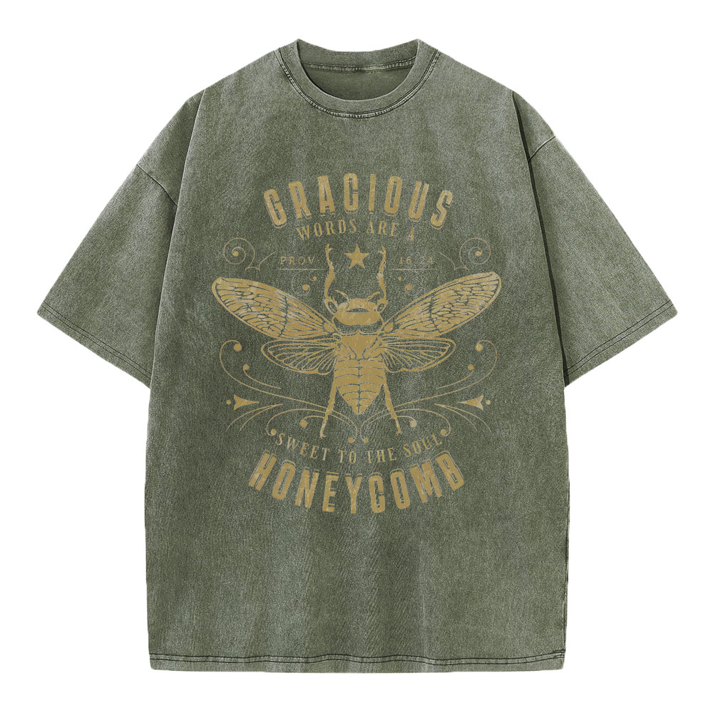 Gracious Words Are A Sweet To The Soul Honeycomb Christian Washed T-Shirt