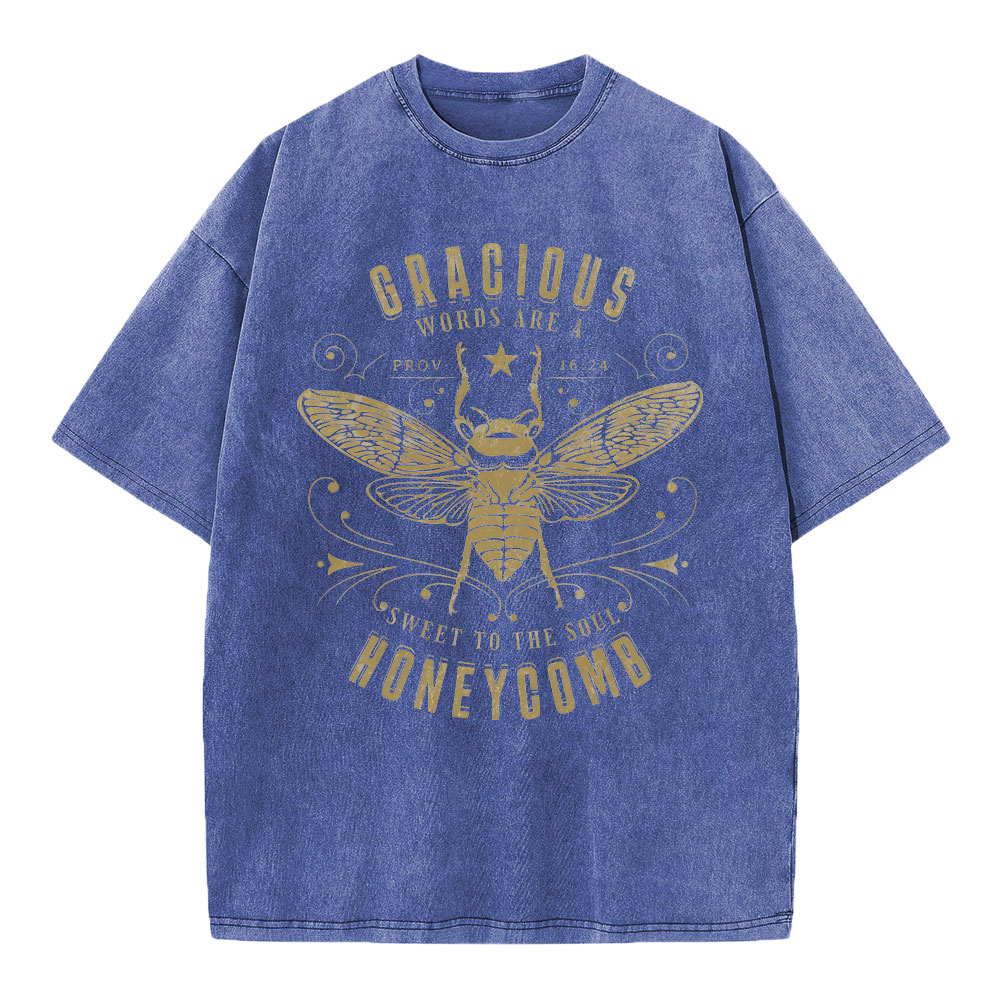 Gracious Words Are A Sweet To The Soul Honeycomb Christian Washed T-Shirt