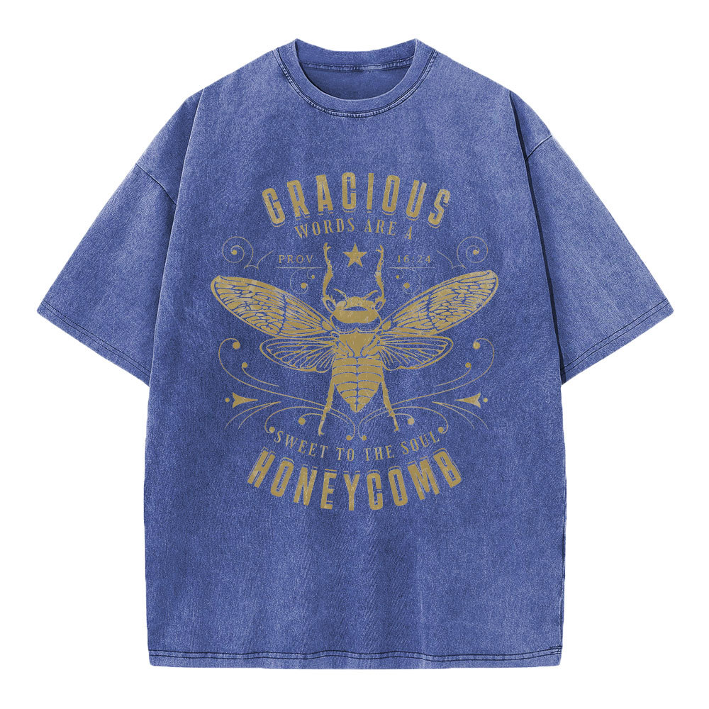 Gracious Words Are A Sweet To The Soul Honeycomb Christian Washed T-Shirt