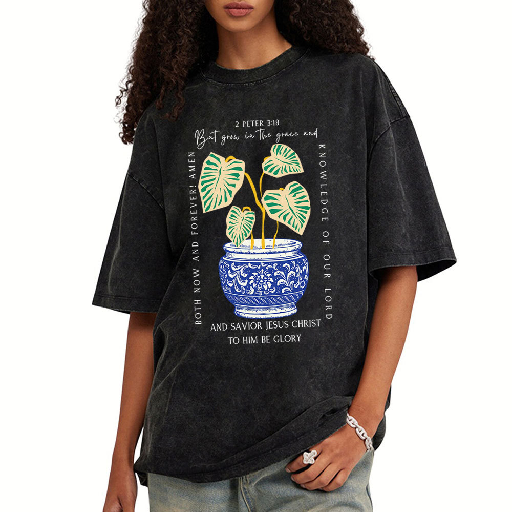 Grow In The Grace Christian Washed T-Shirt