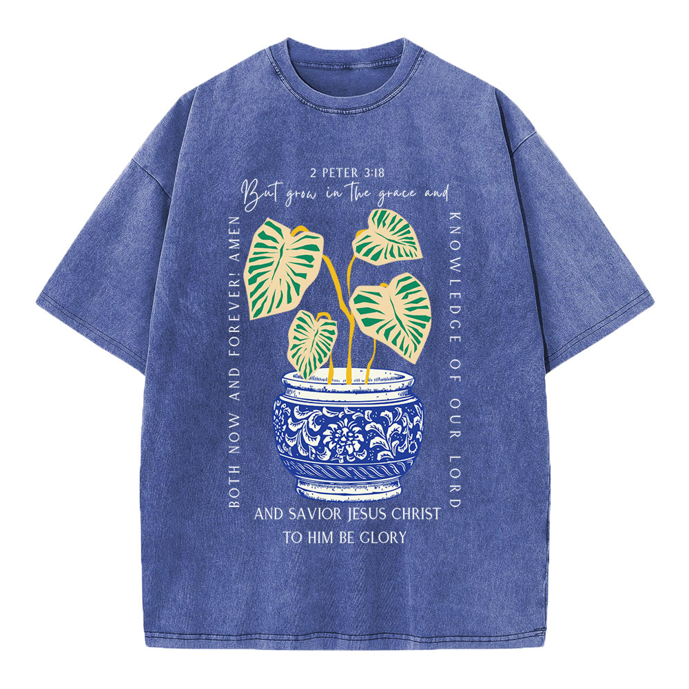 Grow In The Grace Christian Washed T-Shirt