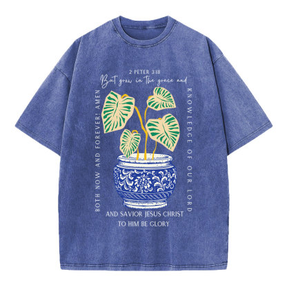 Grow In The Grace Christian Washed T-Shirt