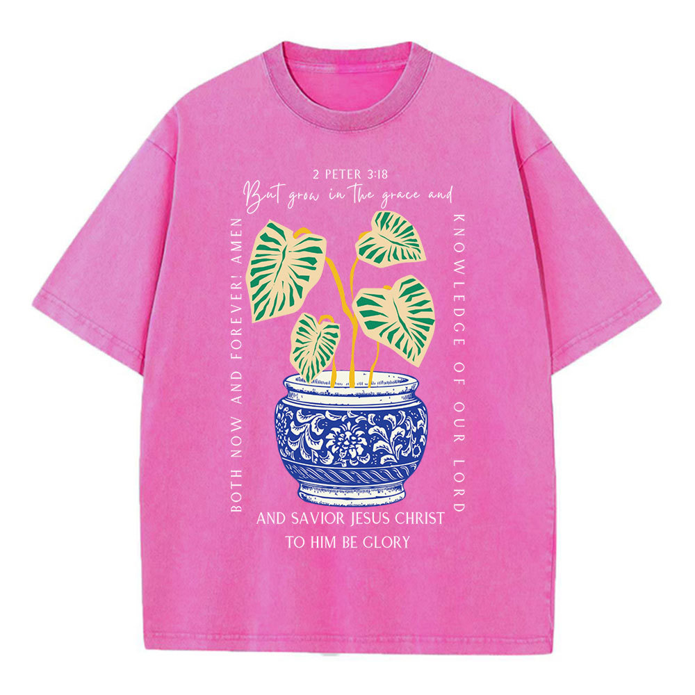 Grow In The Grace Christian Washed T-Shirt
