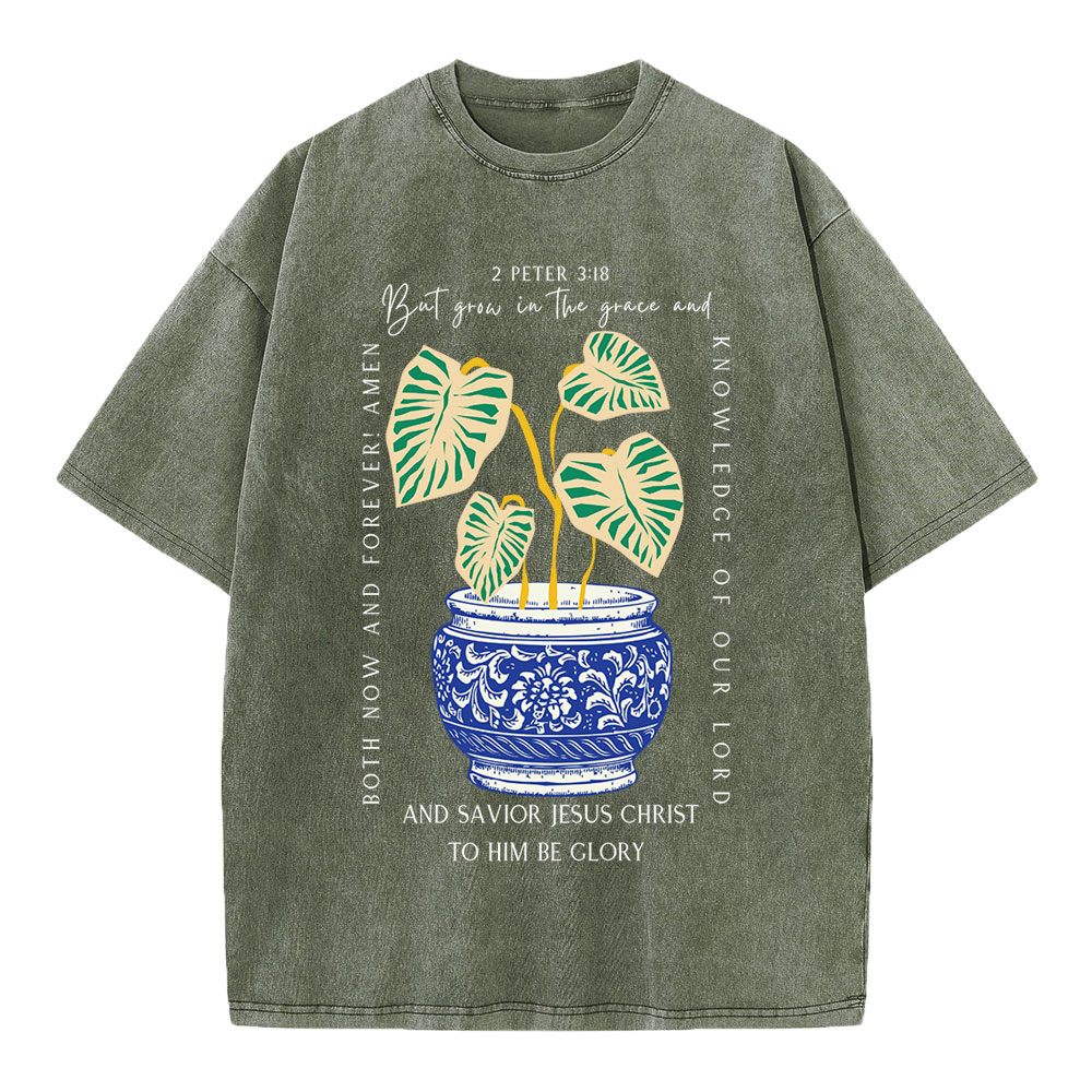 Grow In The Grace Christian Washed T-Shirt
