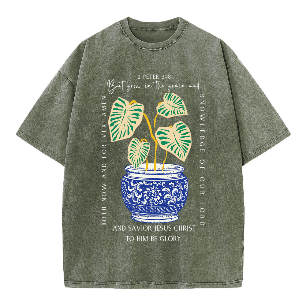 Grow In The Grace Christian Washed T-Shirt