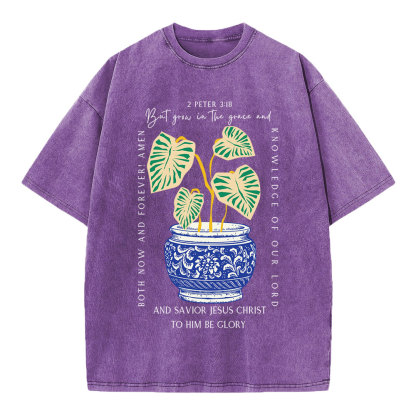 Grow In The Grace Christian Washed T-Shirt