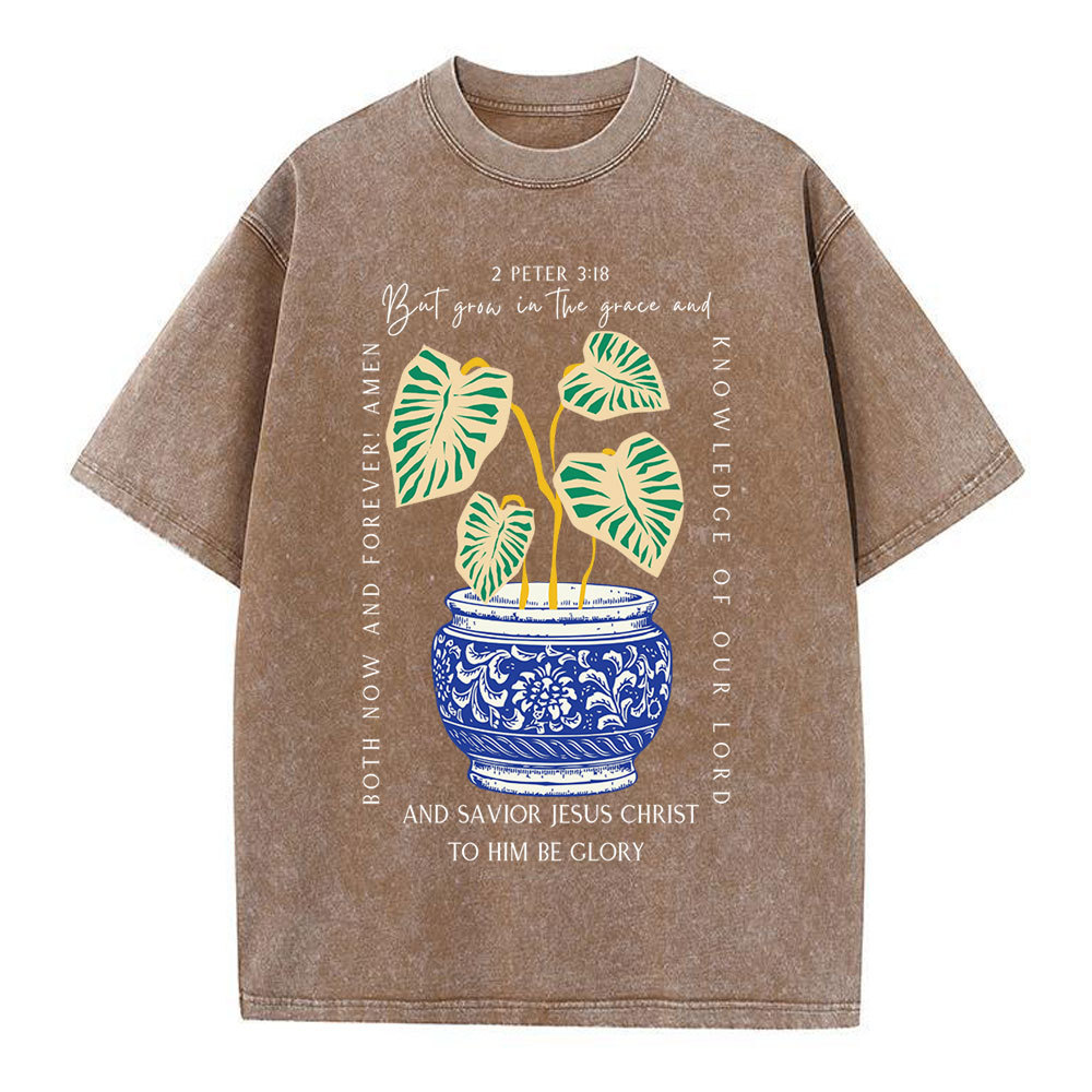 Grow In The Grace Christian Washed T-Shirt