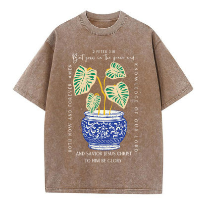 Grow In The Grace Christian Washed T-Shirt