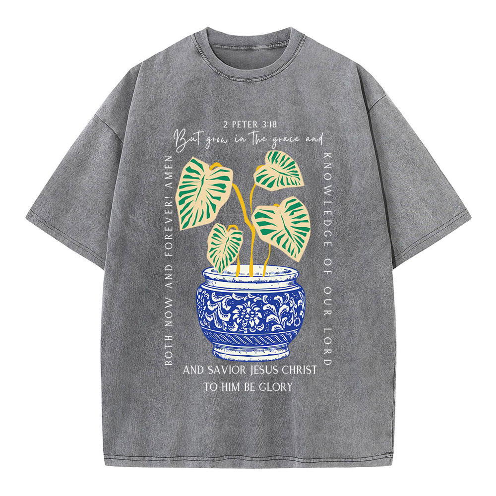 Grow In The Grace Christian Washed T-Shirt
