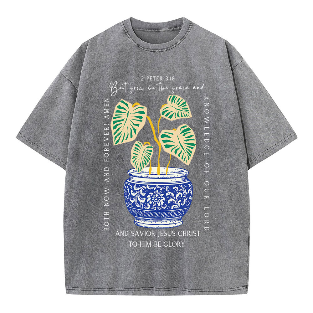 Grow In The Grace Christian Washed T-Shirt